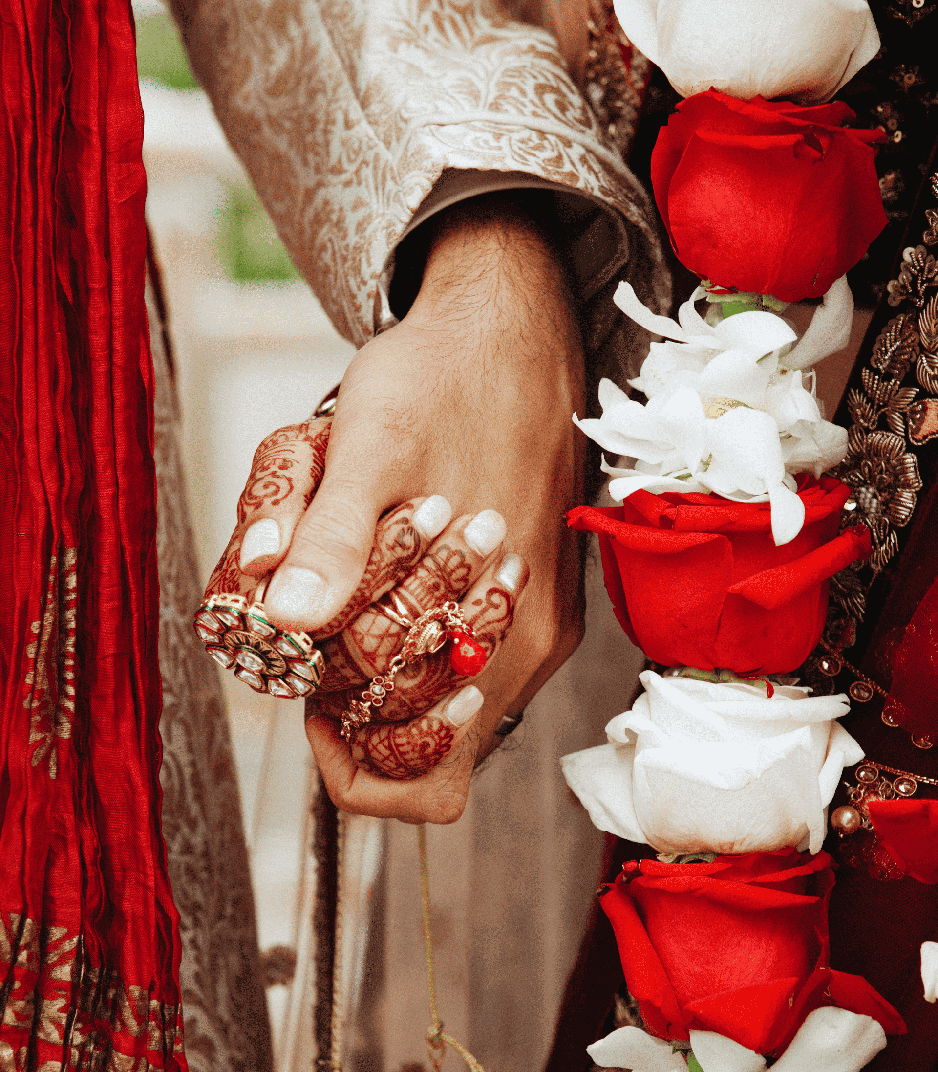 Photo of Cartagena's cathedral at the background and some colonial style houses