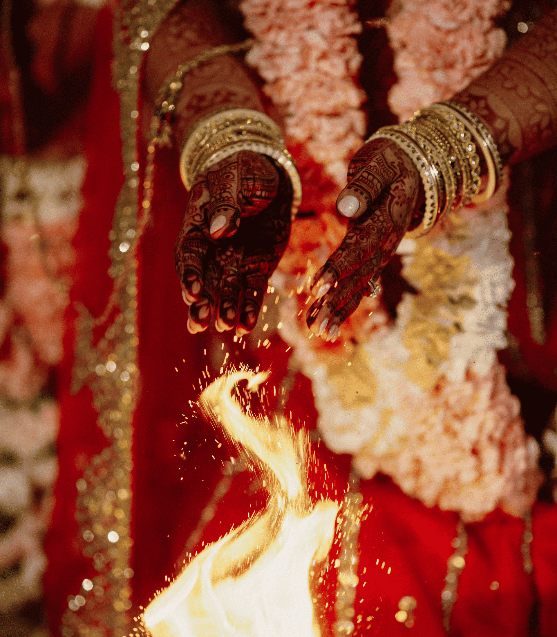 Photo of Cartagena's cathedral at the background and some colonial style houses